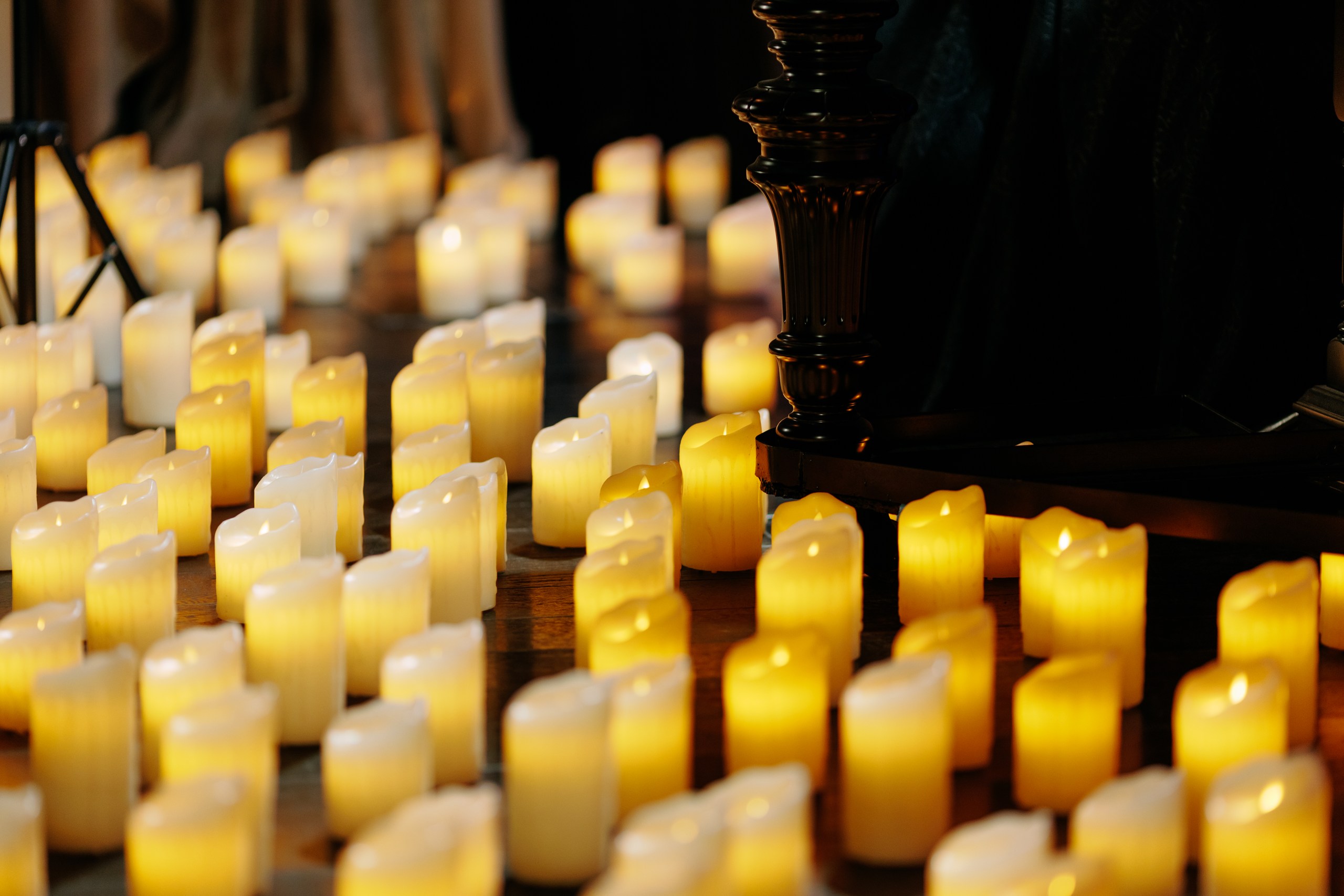 Концерт «Органный концерт при Свечах», фото 18